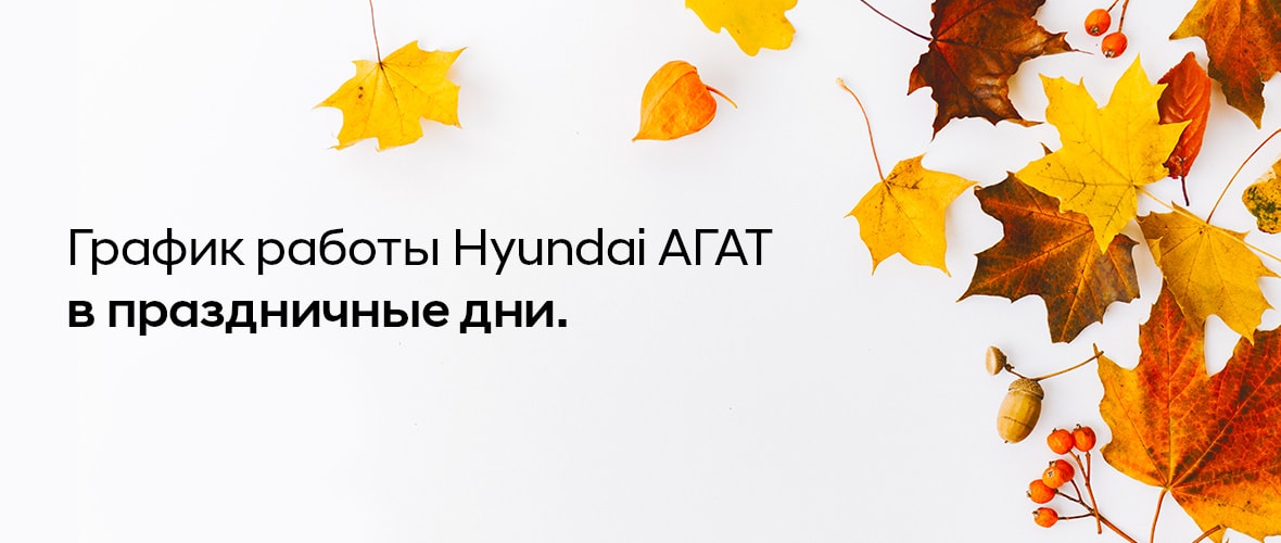 Hyundai АГАТ поздравляет Вас С Днём народного единства!