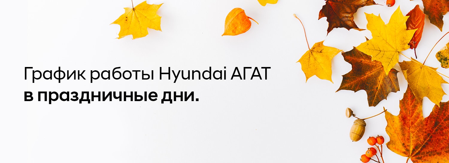 Hyundai АГАТ поздравляет Вас С Днём народного единства!